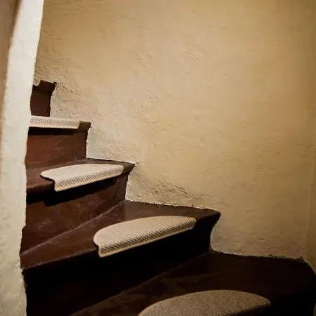 La Petite Vue, Paranthese Enchantee Sous La Cite * Carcassonne